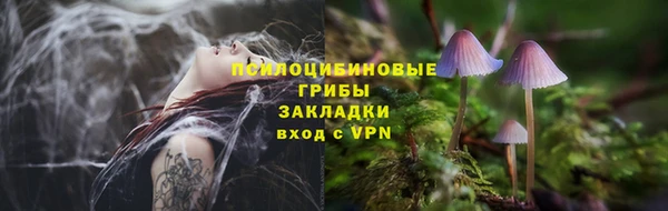 шишки Лагань