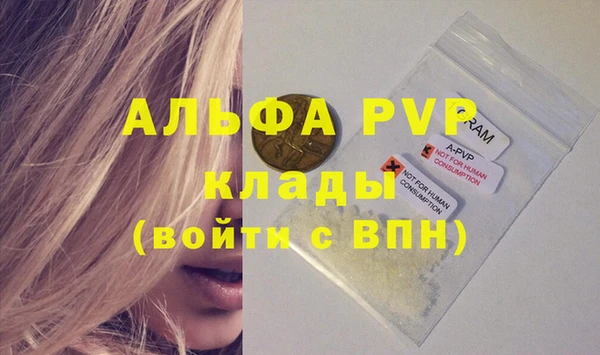 PSILOCYBIN Магас