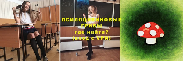 дмт Кукмор
