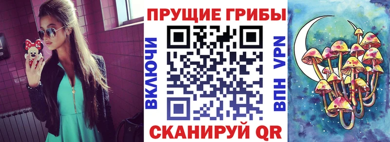 Галлюциногенные грибы Magic Shrooms  Углич 