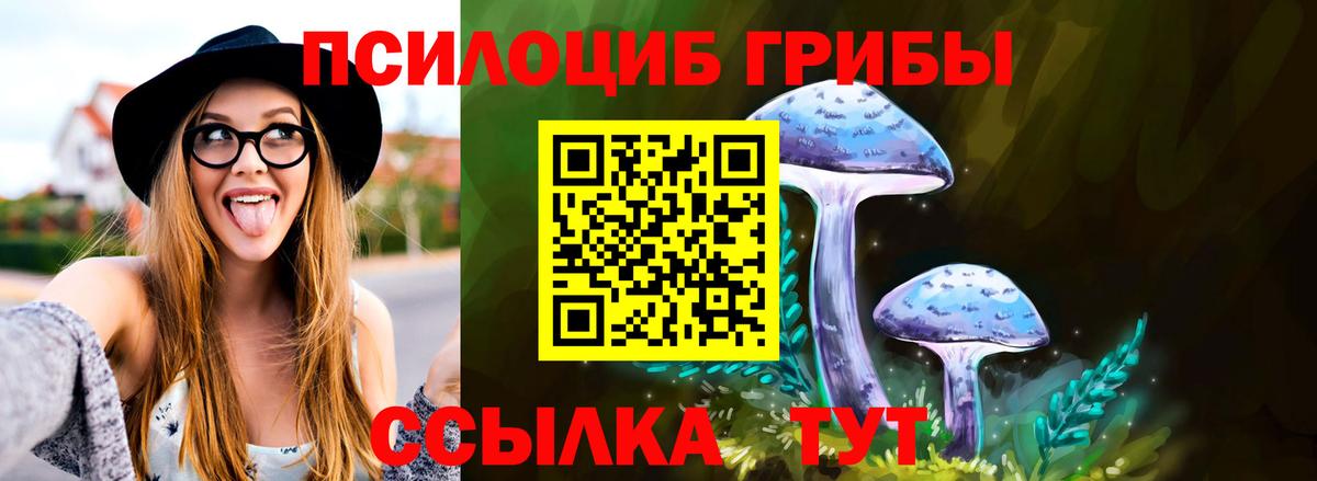 Псилоцибиновые грибы ЛСД  Псилоцибиновые грибы Psilocybe  Вход с VPN  где можно купить   Углич 